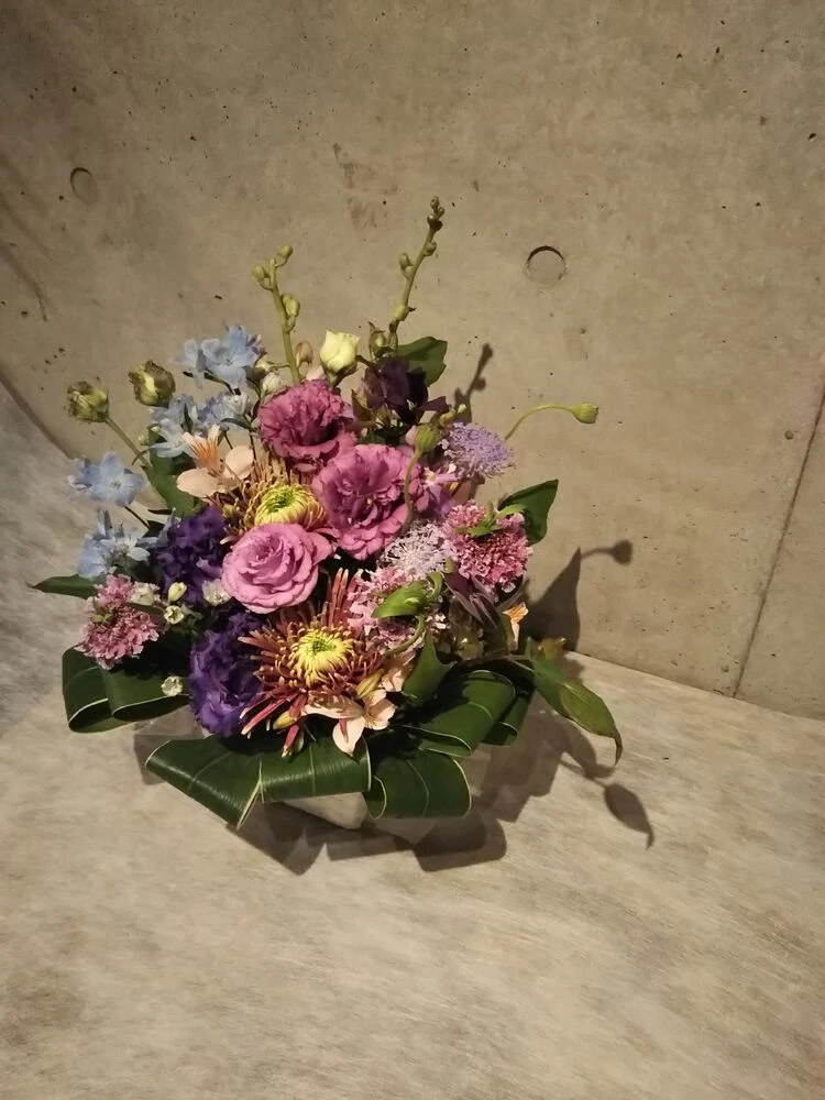 画像15584