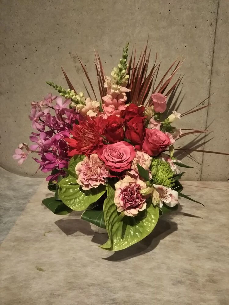 画像15585