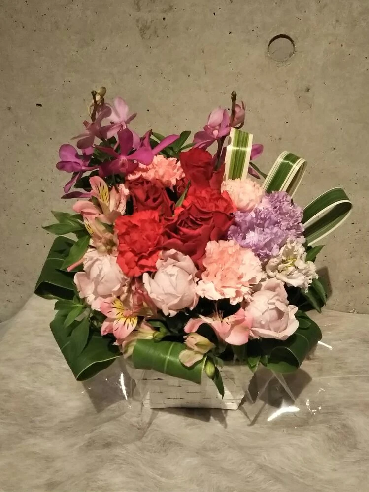 画像15586