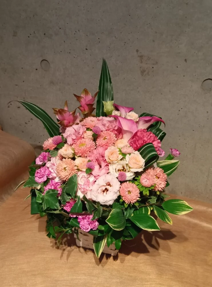 画像16248