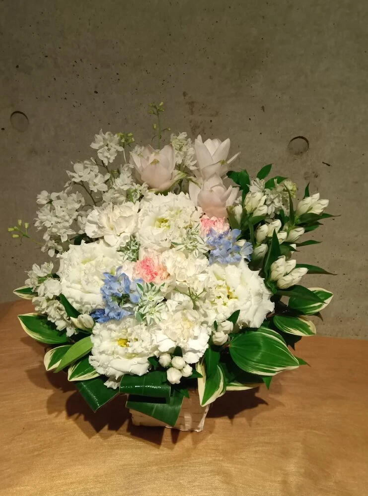 画像16250
