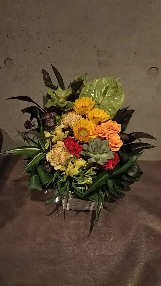 画像16305