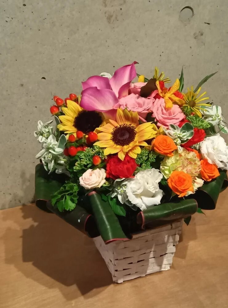 画像16313