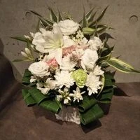 画像16359：情熱のレッドの花達は大切な方への架け橋になります