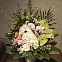 画像16361：情熱のレッドの花達は大切な方への架け橋になります