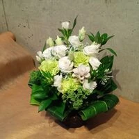 画像16362：情熱のレッドの花達は大切な方への架け橋になります