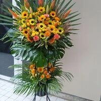 画像17033：情熱のレッドの花達は大切な方への架け橋になります