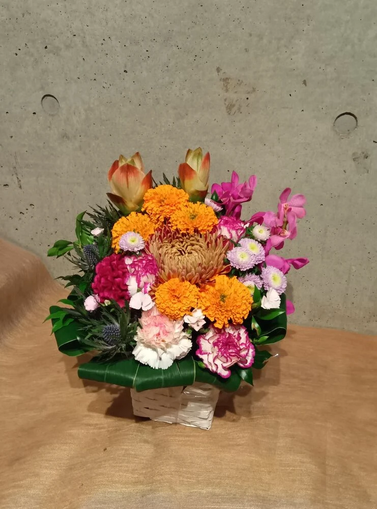 画像17223