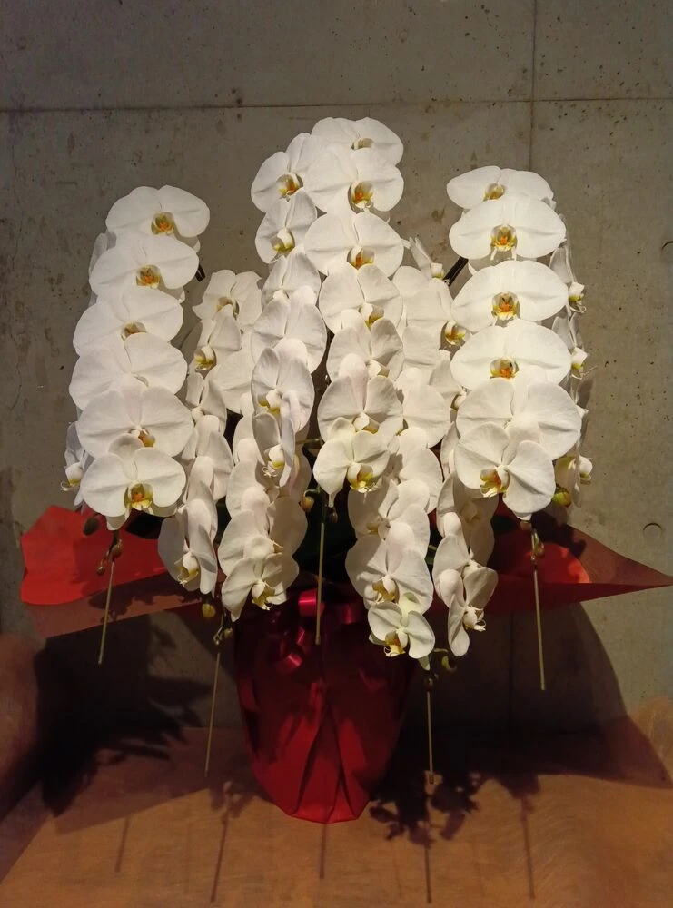 画像17358