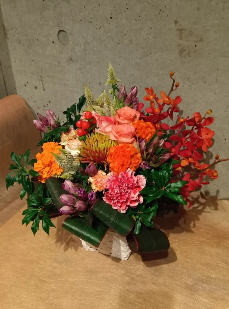 画像17395