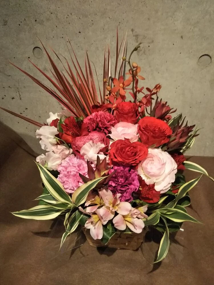 画像17403