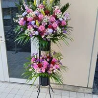 画像17415：情熱のレッドの花達は大切な方への架け橋になります