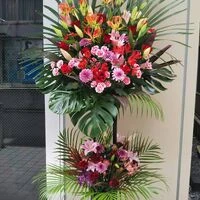 画像17417：情熱のレッドの花達は大切な方への架け橋になります