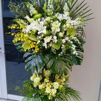 画像17419：情熱のレッドの花達は大切な方への架け橋になります