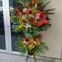 画像17420：情熱のレッドの花達は大切な方への架け橋になります