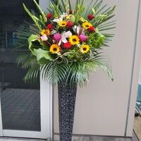 画像17423：情熱のレッドの花達は大切な方への架け橋になります