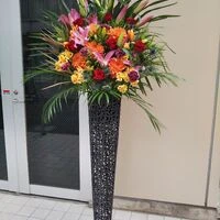 画像17425：情熱のレッドの花達は大切な方への架け橋になります