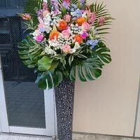 画像17427：情熱のレッドの花達は大切な方への架け橋になります
