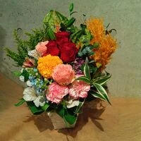 画像17439：情熱のレッドの花達は大切な方への架け橋になります