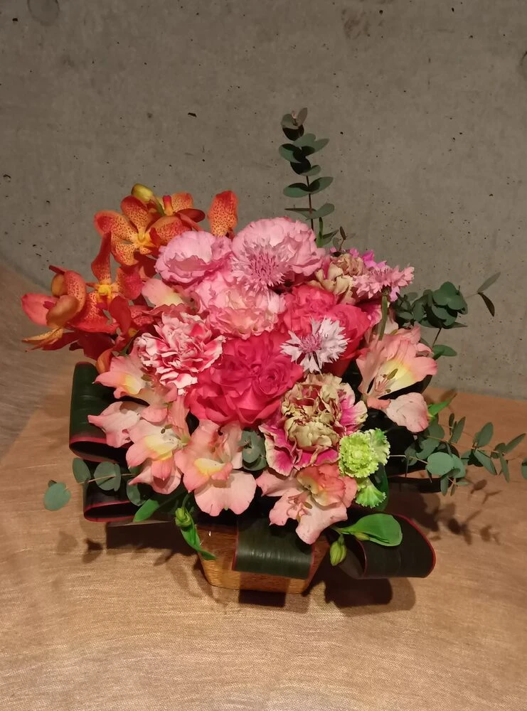 画像17564