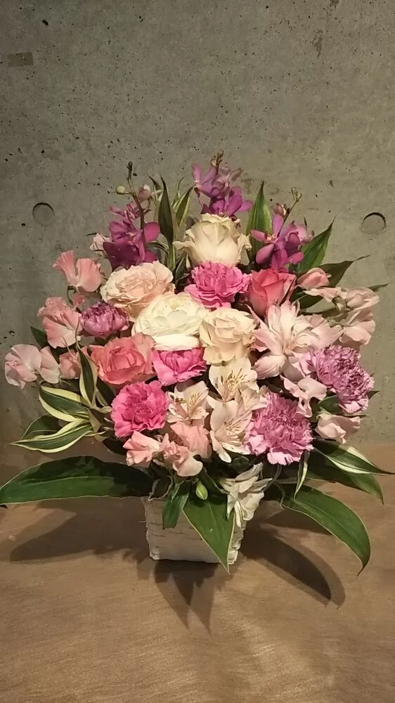 画像17711