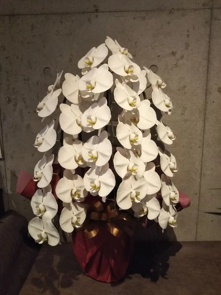 画像18571