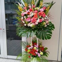 ブログ