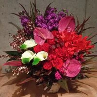 画像20249：情熱のレッドの花達は大切な方への架け橋になります