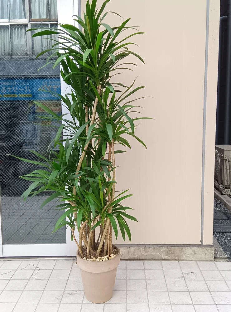 画像20403