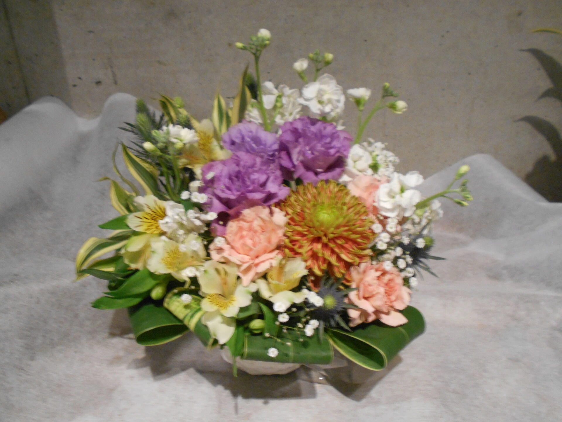 DSCN5736.JP