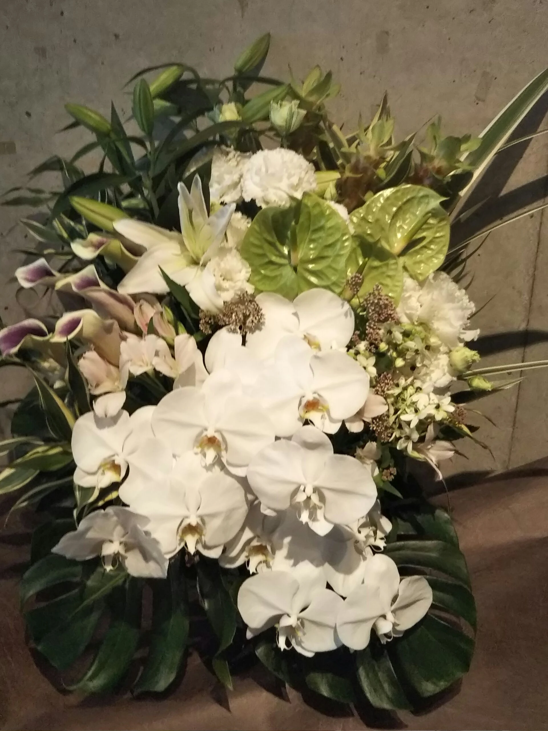 ブログ