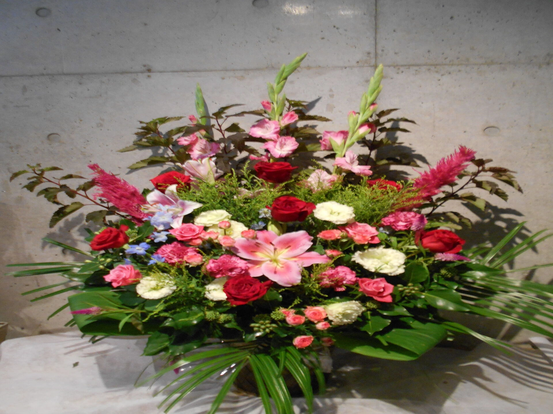 DSCN3098.JP