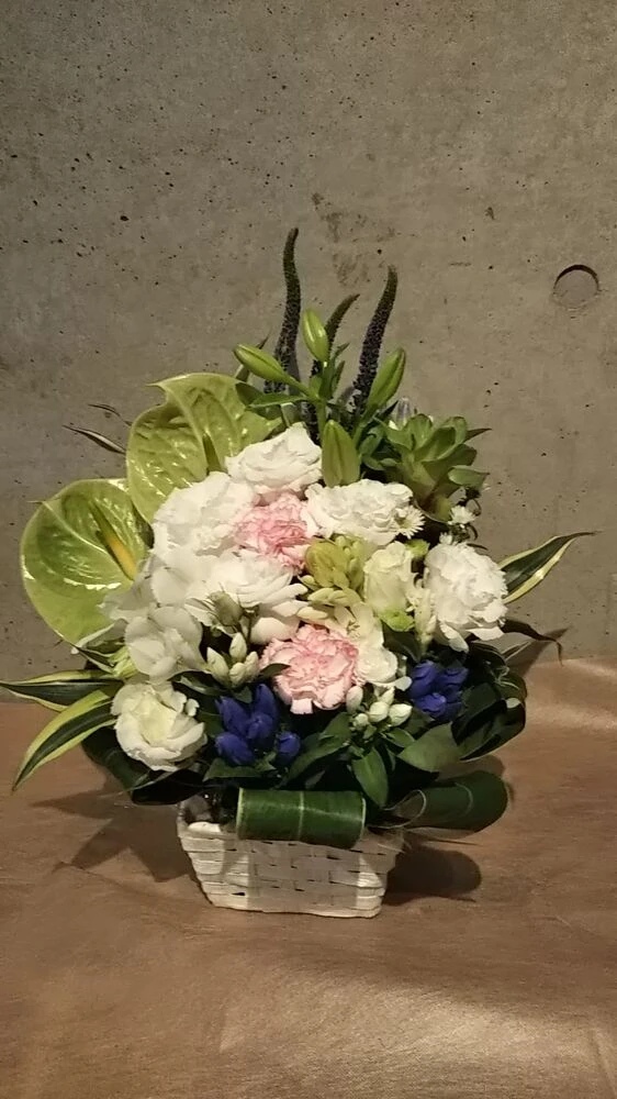 画像21581