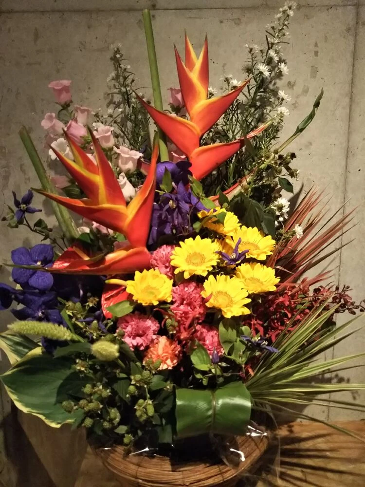 画像21584
