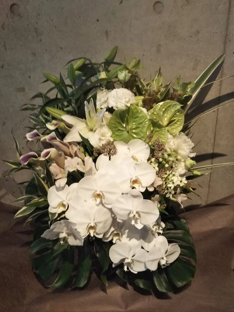 画像21805