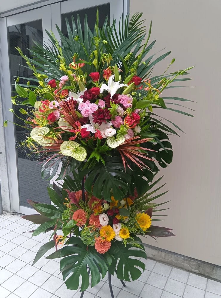 画像22203