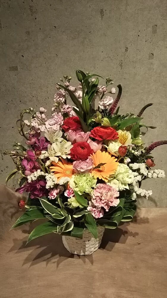 画像22306