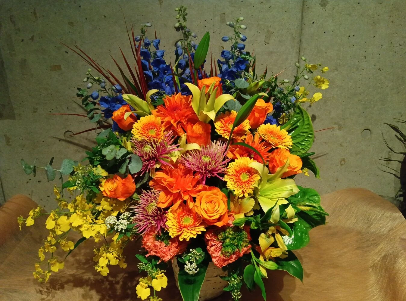 画像22307