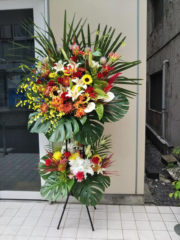 画像22408