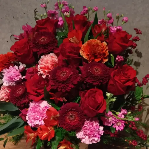 画像22415：情熱のレッドの花達は大切な方への架け橋になります