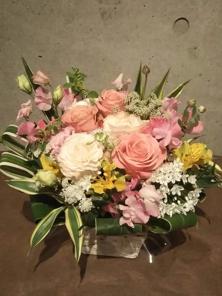画像22531