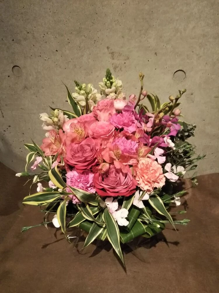 画像22537