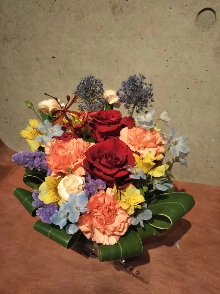画像22538