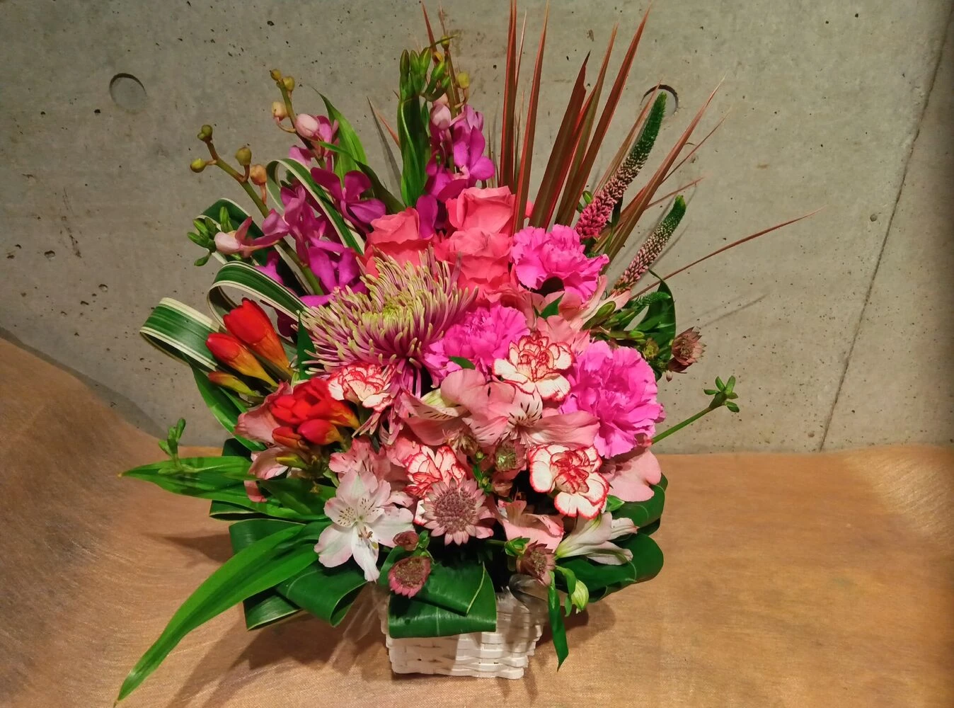 画像22565