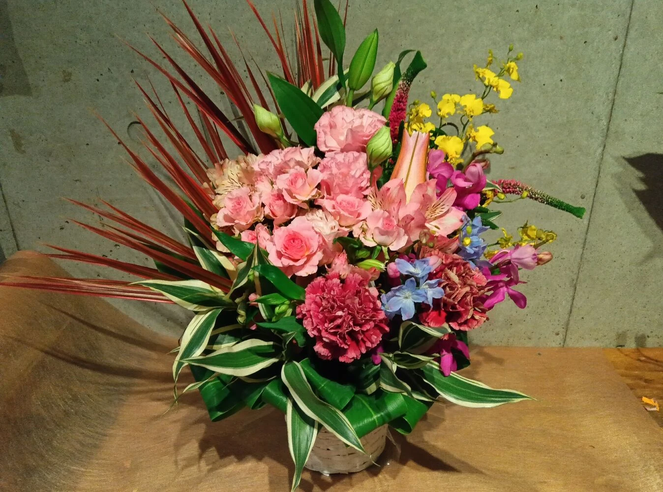 画像22566