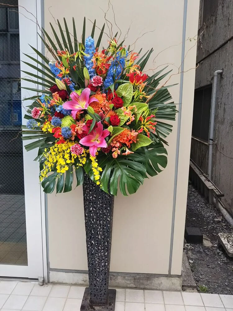 画像22572