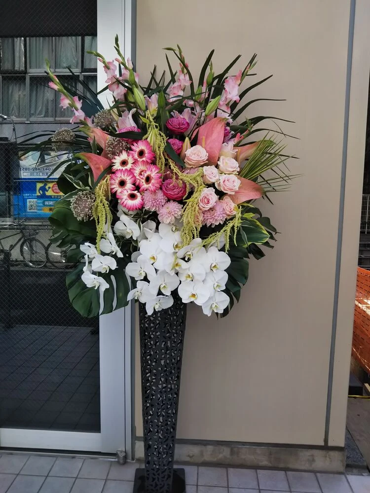 画像22584