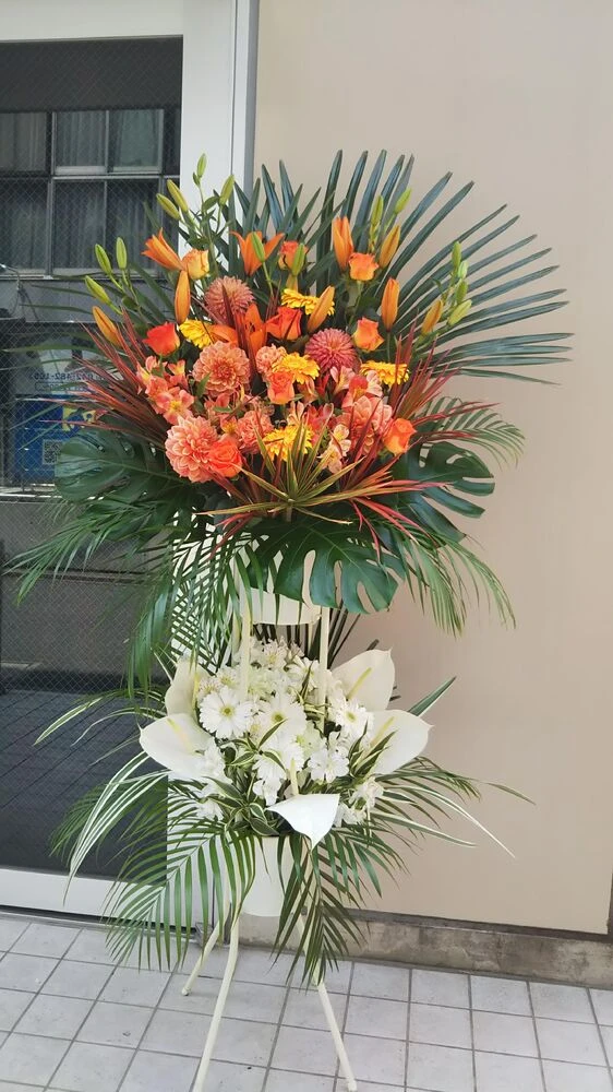 画像22588