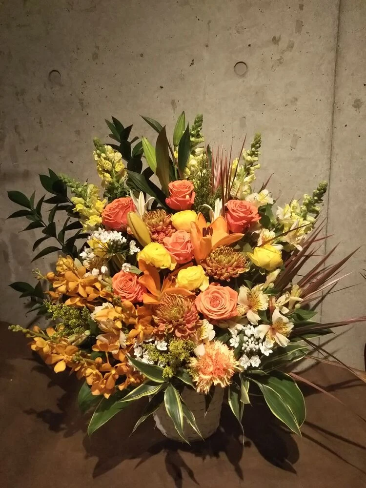 画像22616
