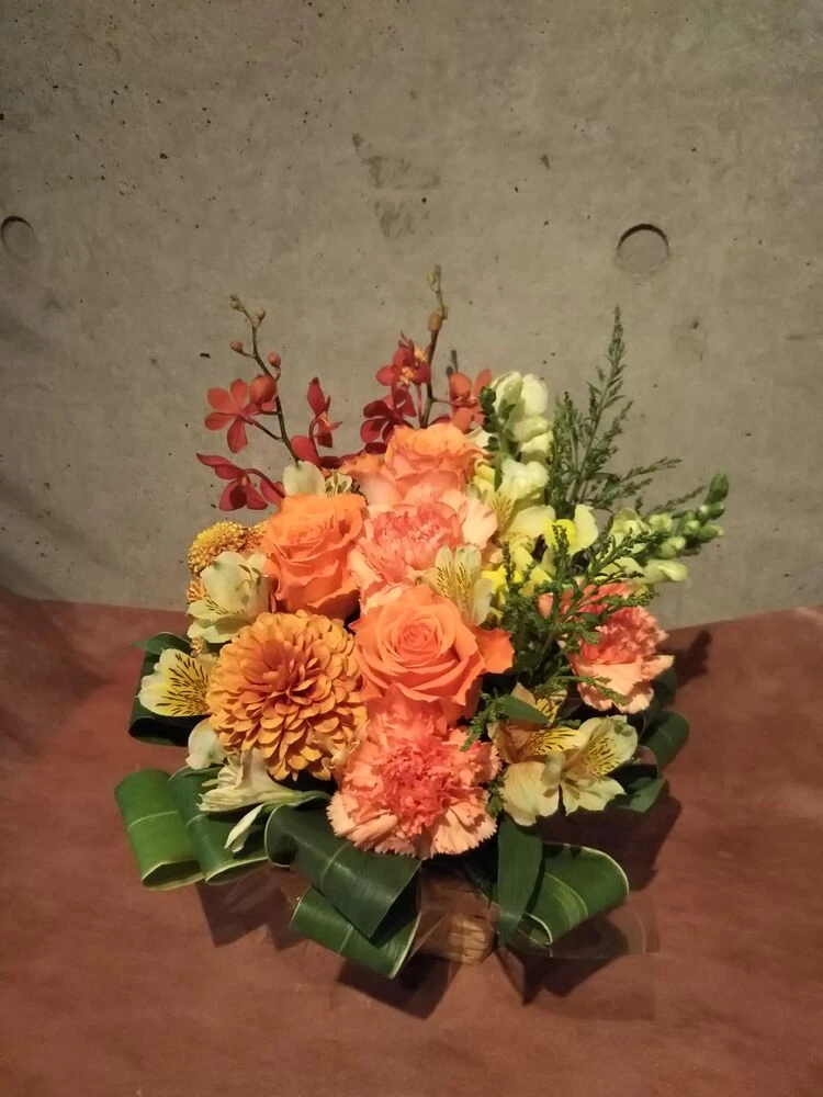 画像22627